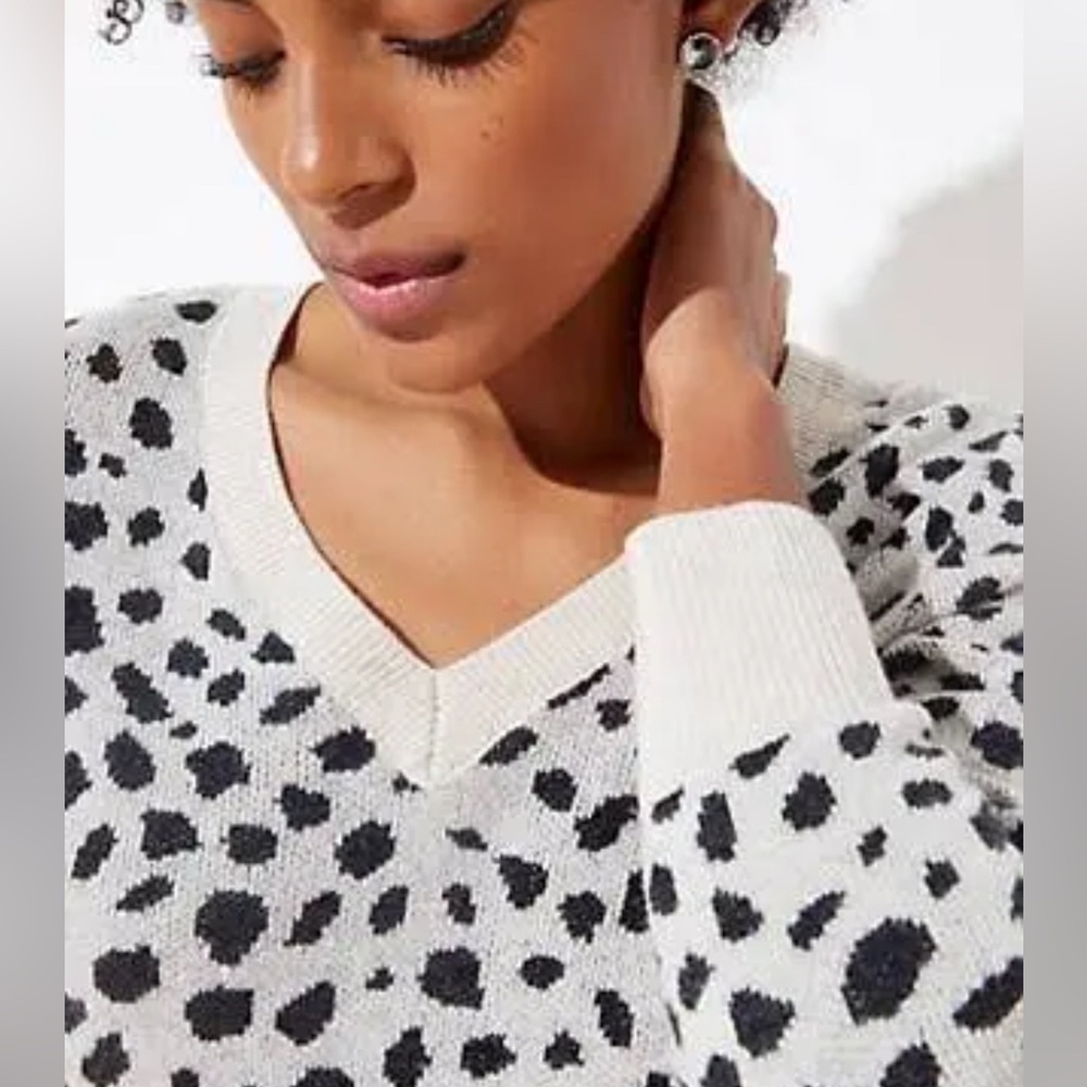 ANN TAYLOR LOFT Wool Leopard‎ Sweater V Neck Long Sleeve Top Cream Black Medium